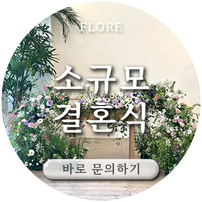플로르미래 이미지