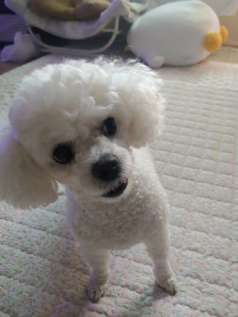 서재노래방 이미지