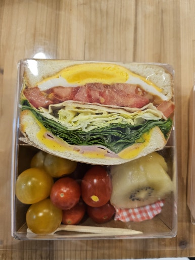 앨리스702 이미지