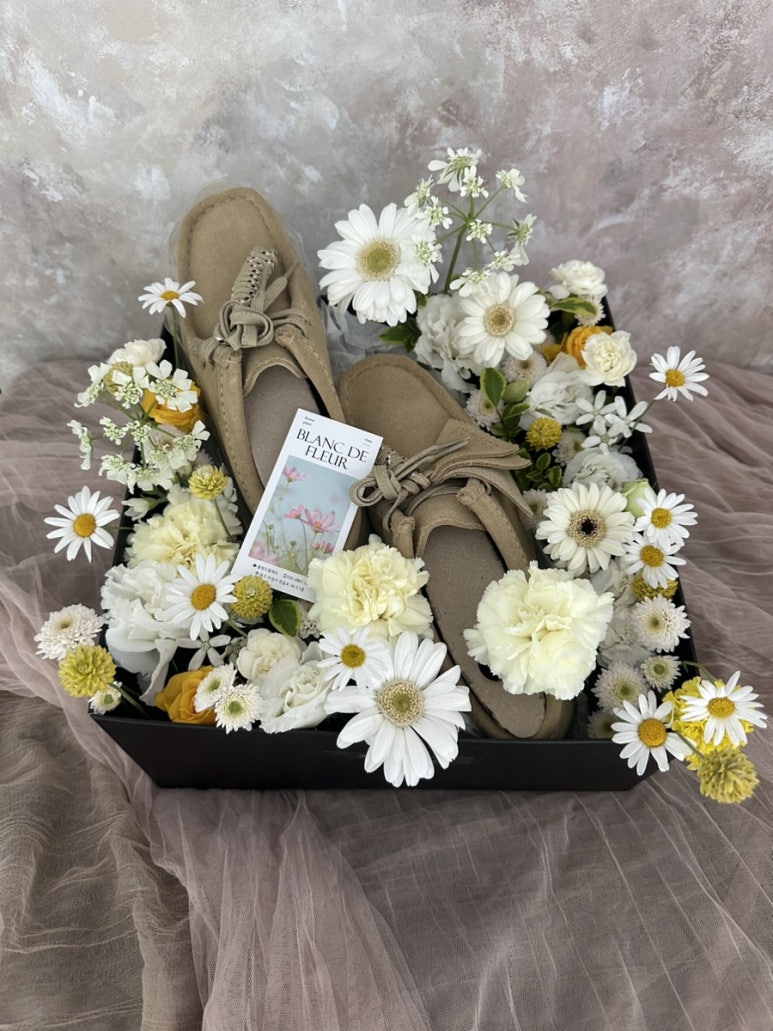 블랑드플레르 이미지