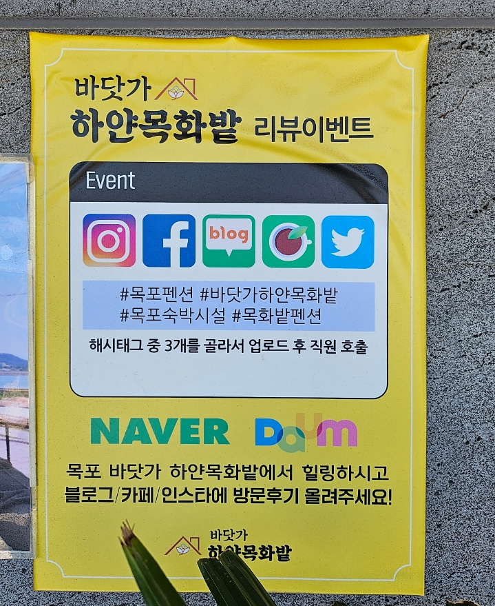 바닷가하얀목화밭 이미지