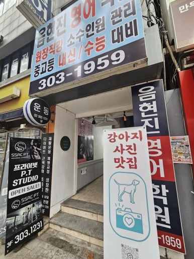 유어펫스토리 이미지