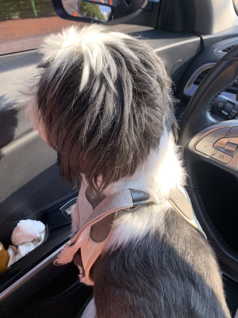 소소절절꽃이야기 이미지