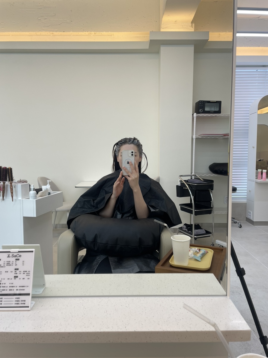 비사채 이미지