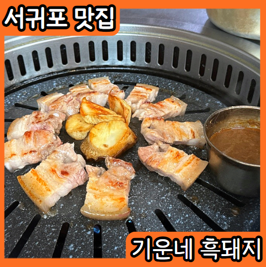 기운네흑돼지 이미지
