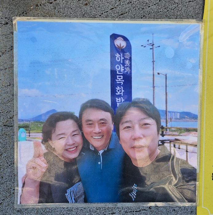 바닷가하얀목화밭 이미지