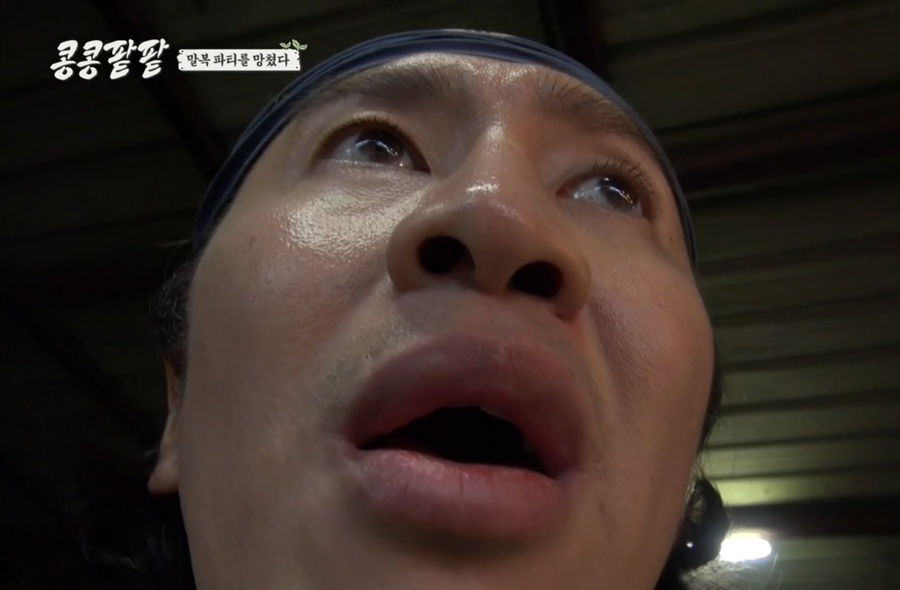 케이팝투어 이미지