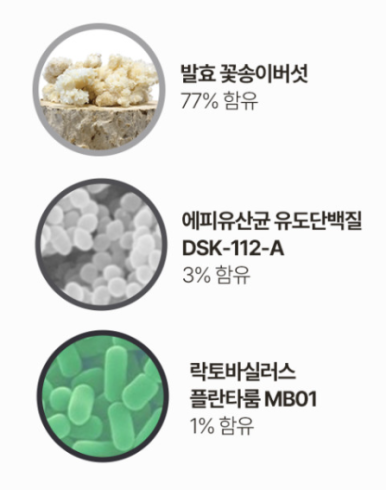 에피바이오틱스 이미지