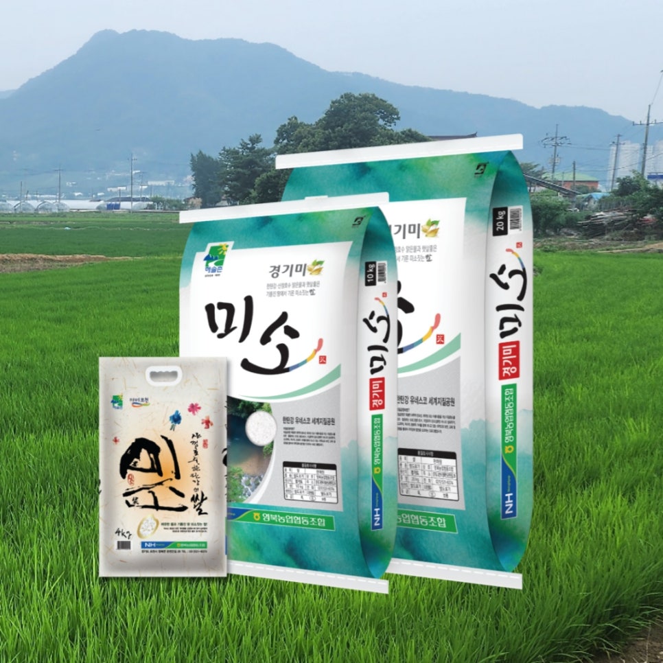 영북농업협동조합 이미지