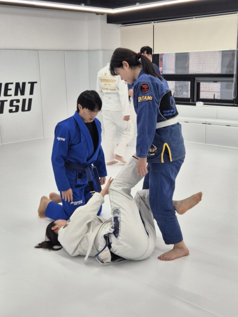 제이멀티짐피티엔주짓수 이미지