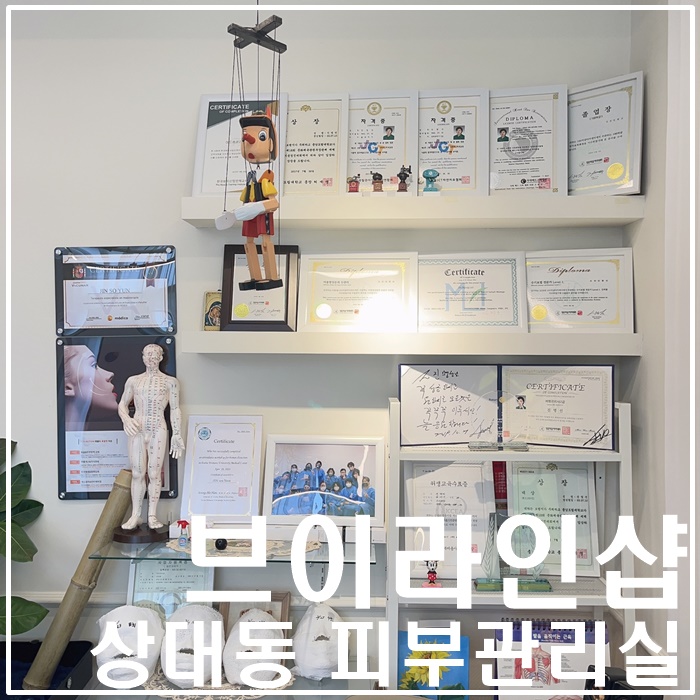 브이라인샵 이미지