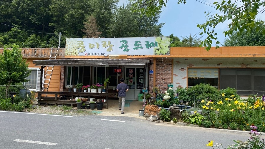 콩이랑 곤드레 이미지