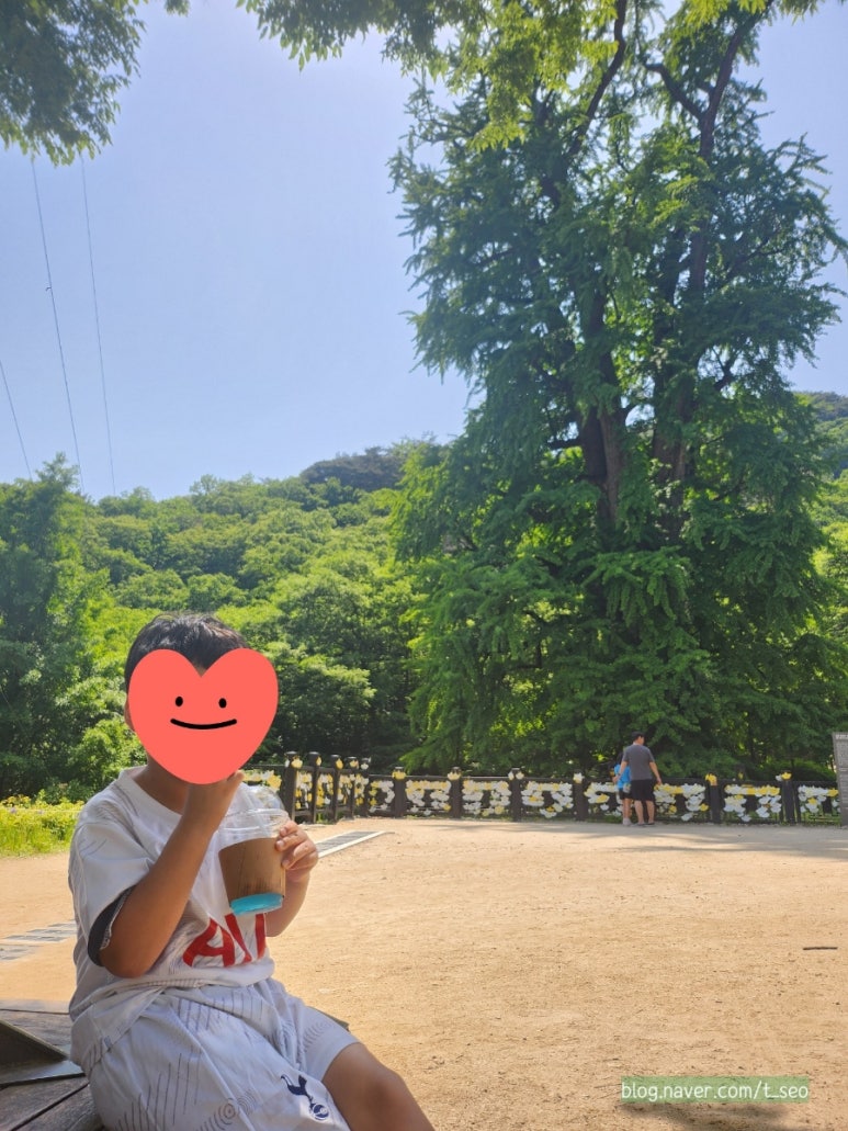 은행나무떡방 이미지