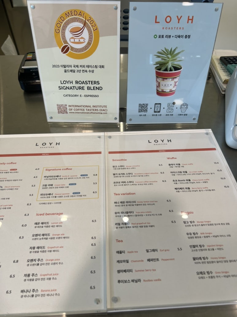 로이로스터스보라 이미지