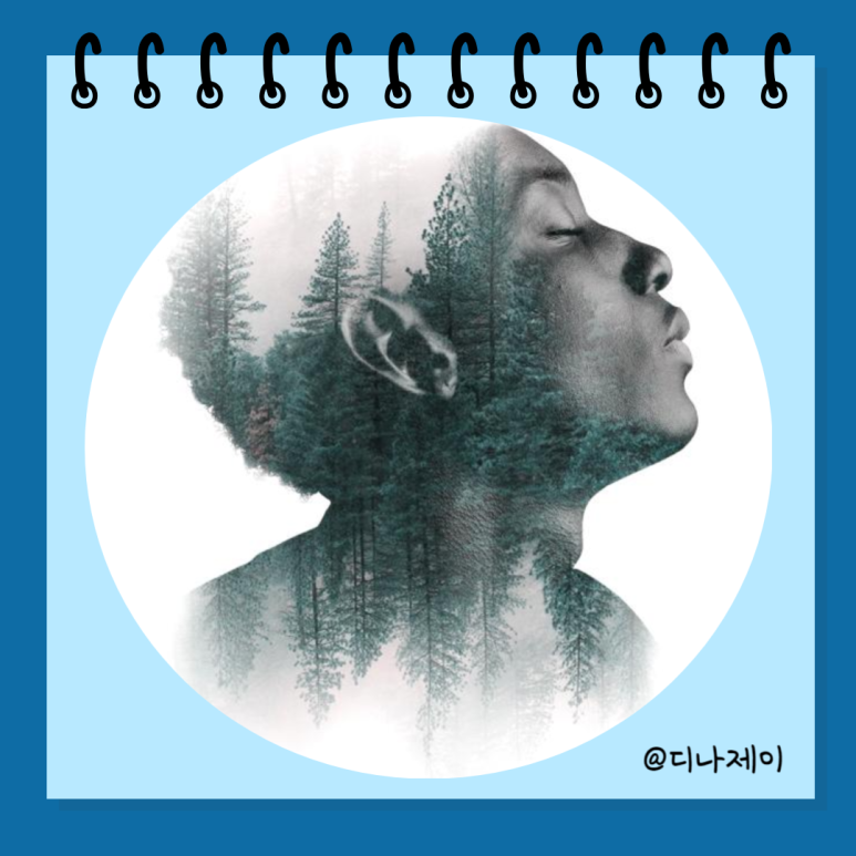 인사인디자인 이미지