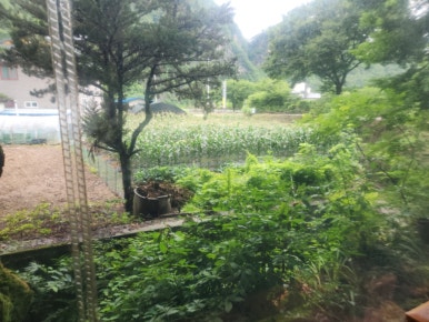 옛날촌집 이미지