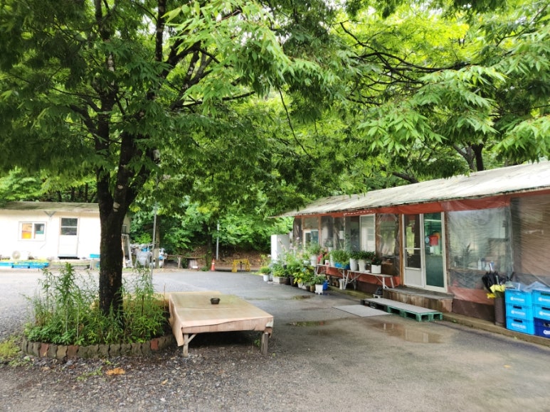 옛날촌집 이미지