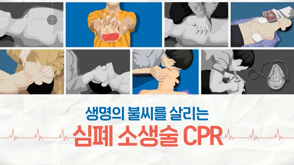 화곡보건경영고등학교 이미지