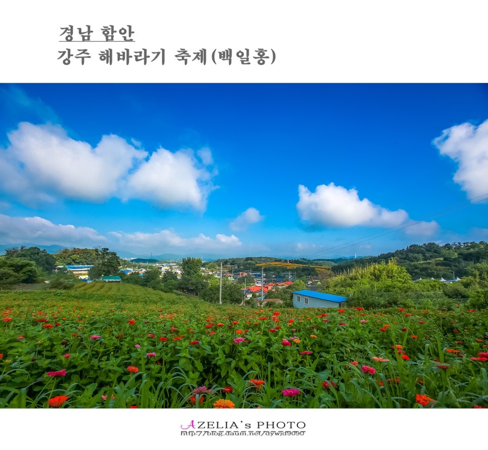 (주)해바라기 이미지