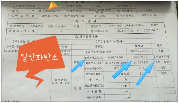 포니카센타 이미지