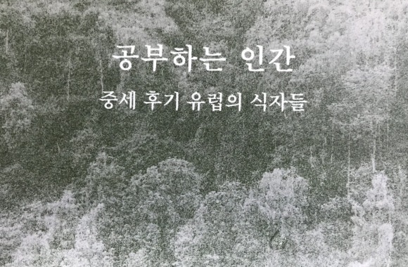 베르제 이미지