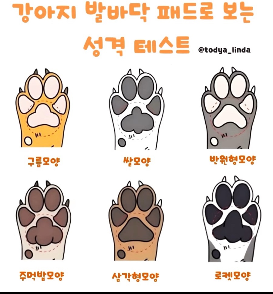 굿모닝토토 이미지