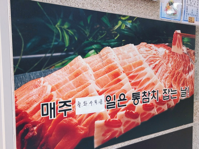 월참치 이미지