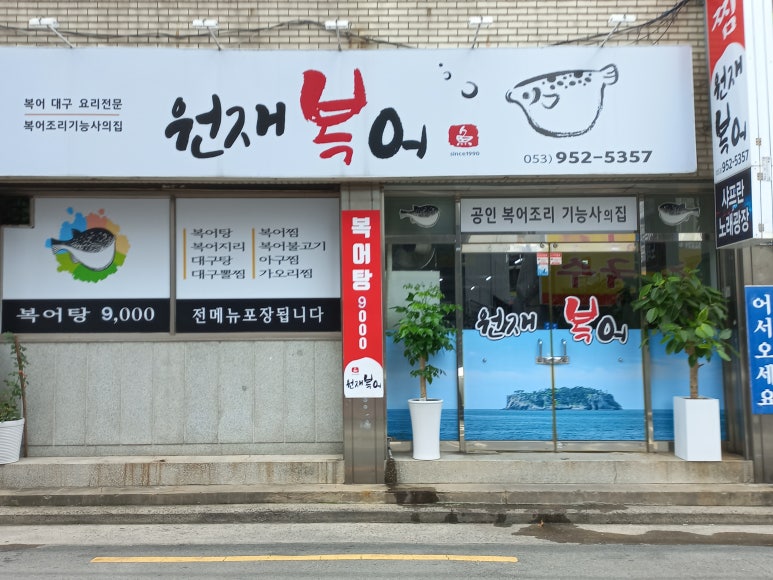 원재복어 이미지