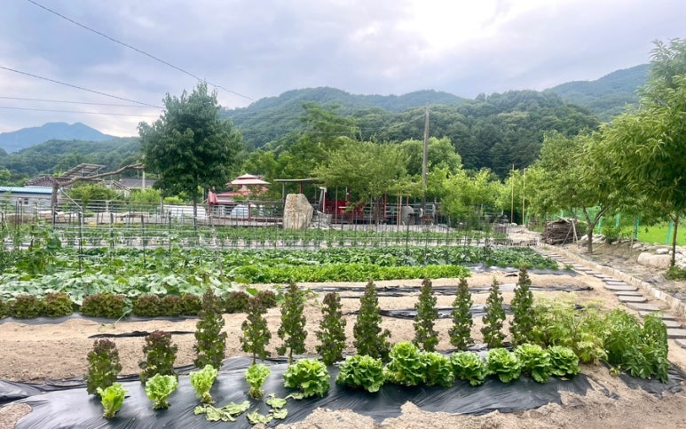 조랑말주유소 이미지
