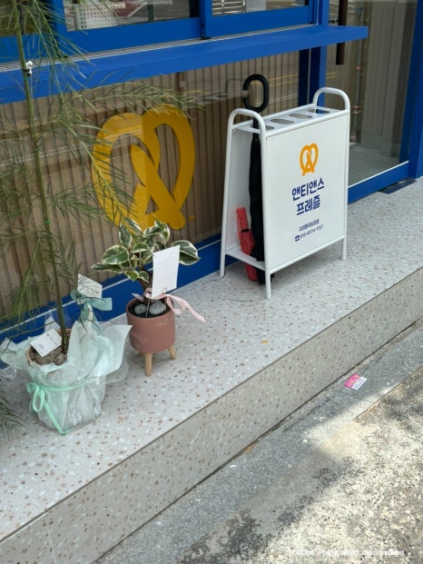앤티앤스구미형곡 이미지