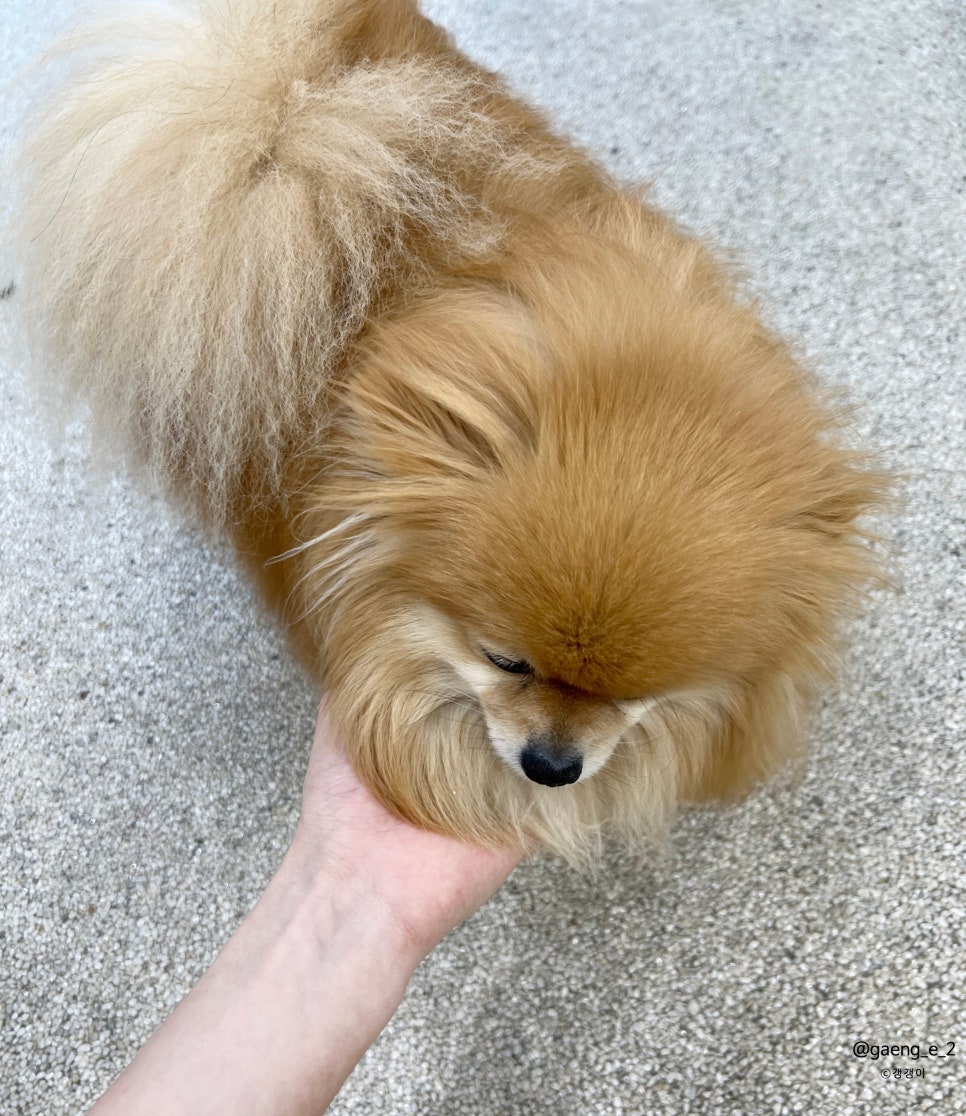 곰팅이네일 이미지