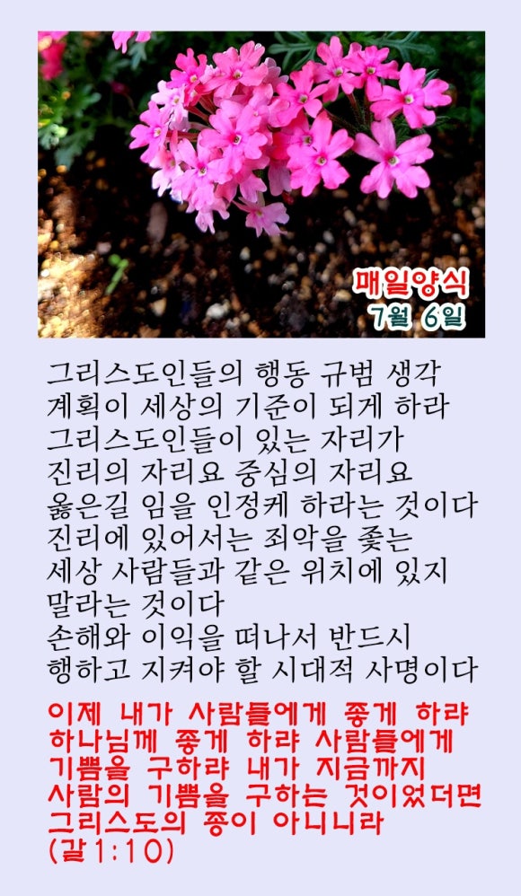 샬롬 이미지