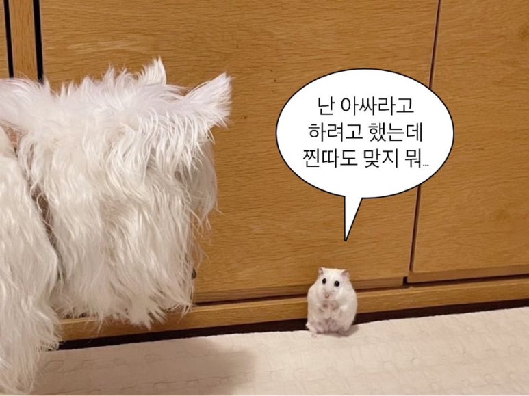 반에반 이미지