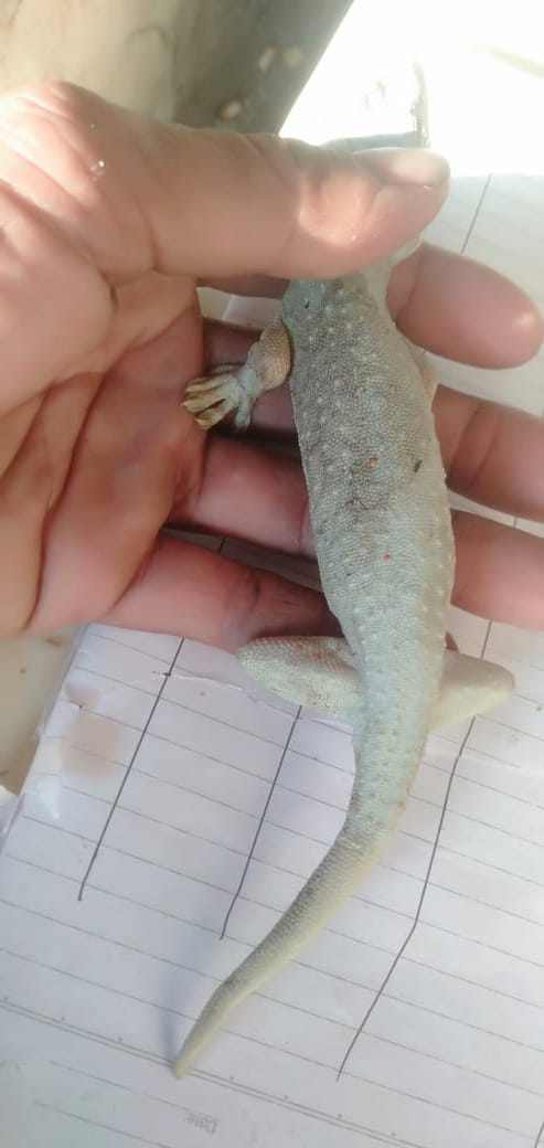 (주)모프 이미지