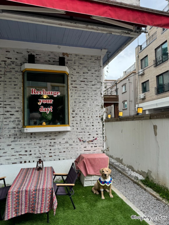 파스타예요 대전동구본점 이미지