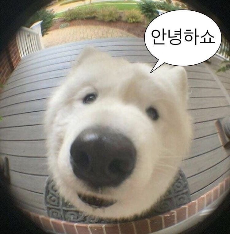 케이에이 이미지