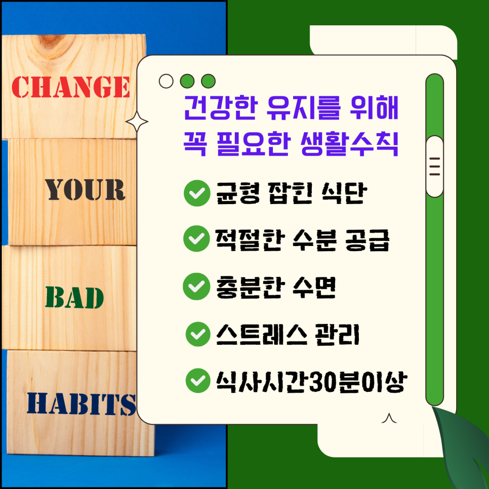 영양주는코치들 이미지