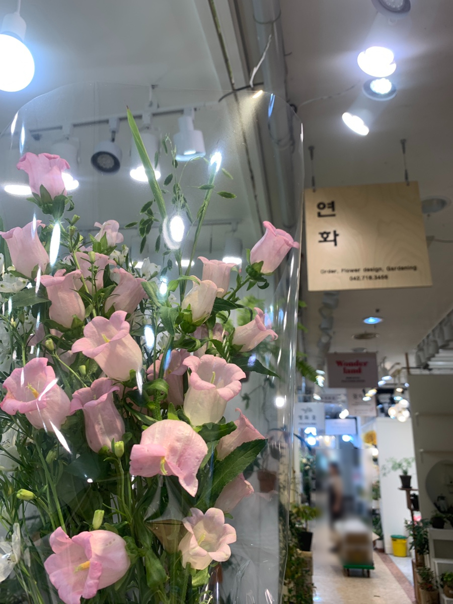 연화플라워 이미지