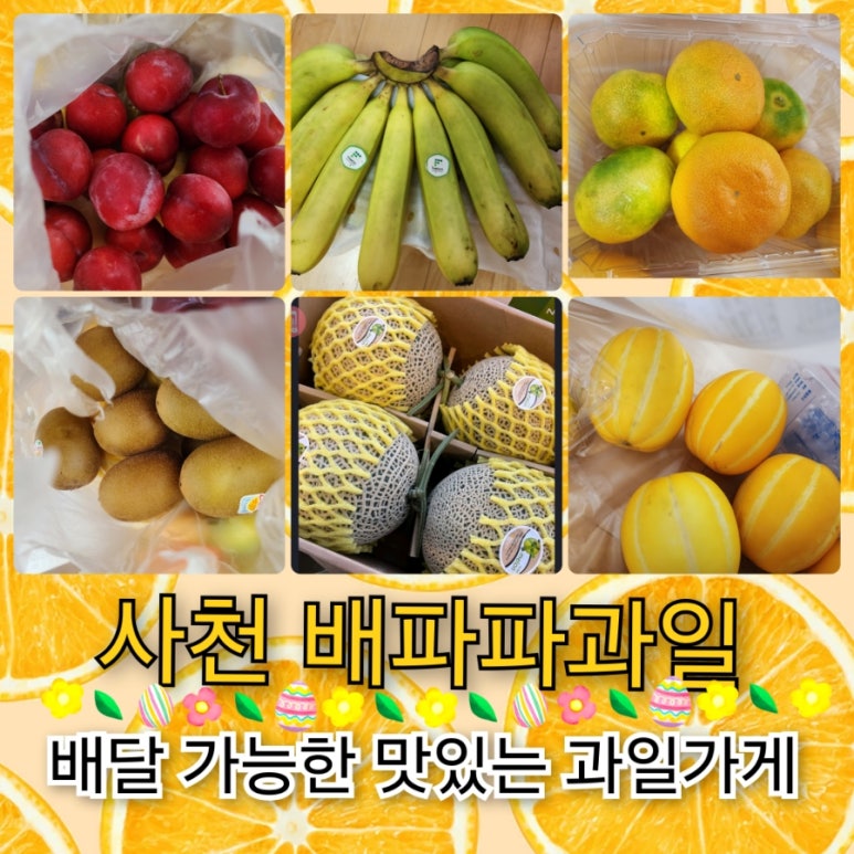 배파파과일 이미지