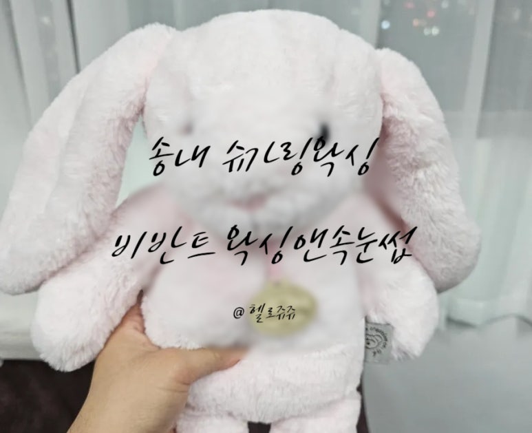 팔앤팔 이미지