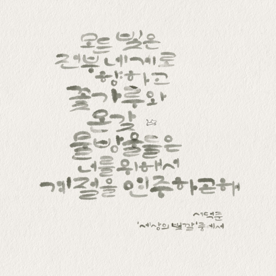 빛깔캘리그라피 이미지