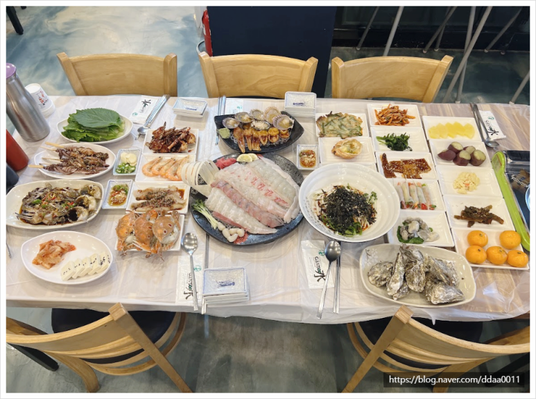 금바우 이미지