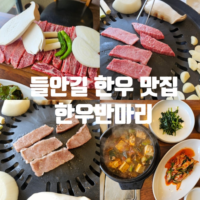 한우반마리 이미지