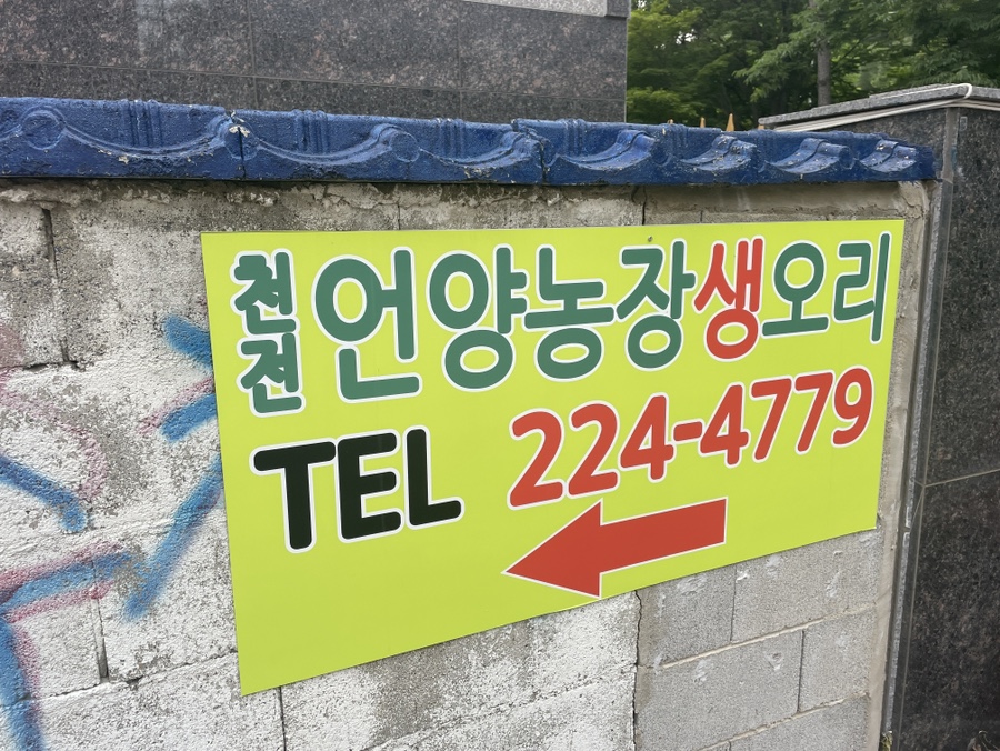 언양농장생오리 이미지