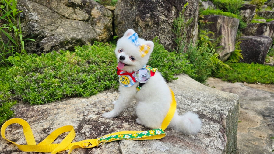 엠지LED 이미지