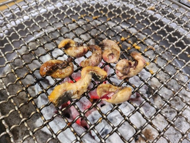 풍천장어마을 이미지