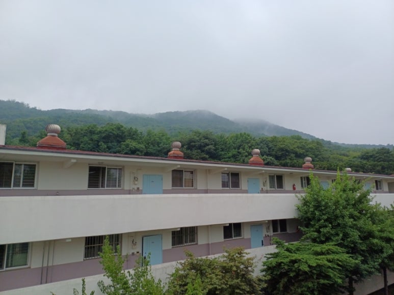 주식회사 뻐꾸기 이미지