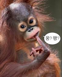 목화밀면&양꼬치공주 이미지