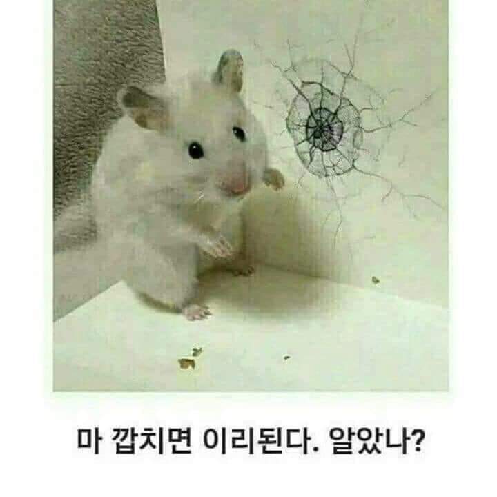 차와갤러리 이미지