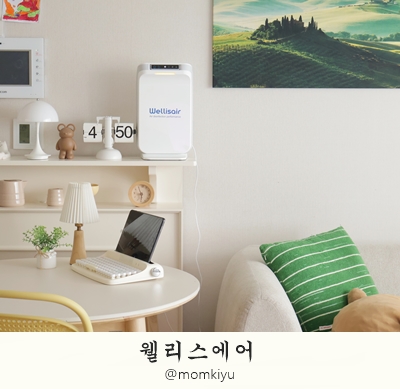 웰리스에어 이미지